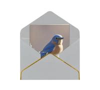 Greeting Cards 17.5 X 11.5 Cm Blank Note Cards Eastern Bluebird Greeting Card Folding Blank Greeting Note Cards With Envelopes Thank Of You Card Blank Card For All Occasions