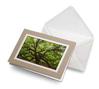 Greeting Cards Biege (Insert) - Old Tree Forest Nature Oak Blank Greetings Card Birthday Kids Party Boys Girls #2868