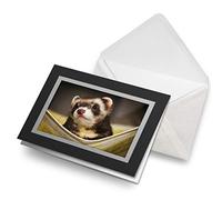 Greeting Cards Black (Insert) - Ferret Hammock Pet Rodent Animal Blank Greetings Card Birthday Kids Party Boys Girls #16329