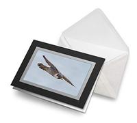 Greeting Cards Black (Insert) - Peregrine Falcon New Jersey Blank Greetings Card Birthday Kids Party Boys Girls #3564