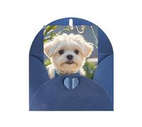 Greeting Cards Blank Note Cards 10 X 15 Cm Cute Maltese Puppy Greeting Card Folding Blank Greeting Note Cards With Envelopes Thank Of You Card Blank Card For All Occasions