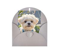 Greeting Cards Blank Note Cards 10 X 15 Cm Cute Maltese Puppy Greeting Card Folding Blank Greeting Note Cards With Envelopes Thank Of You Card Blank Card For All Occasions
