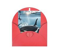 Greeting Cards Blank Note Cards 10 X 15 Cm Orca Killer Whale Greeting Card Folding Blank Greeting Note Cards With Envelopes Thank Of You Card Blank Card For All Occasions