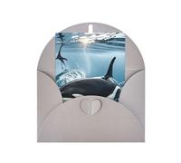 Greeting Cards Blank Note Cards 10 X 15 Cm Orca Killer Whale Greeting Card Folding Blank Greeting Note Cards With Envelopes Thank Of You Card Blank Card For All Occasions
