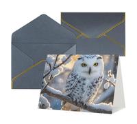 Greeting Cards Blank Note Cards with Envelopes 17.5 x 11.5cm Folding Thinking of you Cards Winter White Owl Invitations Card for Holiday