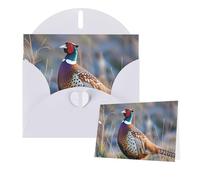 Greeting Cards Blank Note Cards with Envelopes 6"×4" Pheasants Animals Greeting Card Folding Blank Greeting Note Cards Thank of You Card Blank Card for Holiday All Occasions