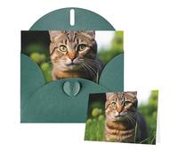 Greeting Cards Blank Note Cards with Envelopes 6"×4" Tabby Cat on The Grass Looking Greeting Card Folding Blank Greeting Note Cards Thank of You Card Blank Card for Holiday All Occasions