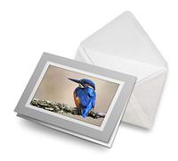 Greeting Cards Gray (Insert) - Wild Blue Male Kingfisher Bird Blank Greetings Card Birthday Kids Party Boys Girls #15795