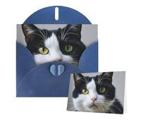 Greetings Card 6" Ã- 4" Black and White Cats Blank Cards for All Occasions Thank You Cards with Envelopes Assorted Birthday Card Thinking of you cards for Wedding
