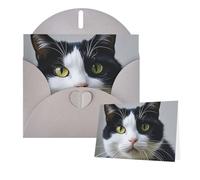 Greetings Card 6" Ã- 4" Black and White Cats Blank Cards for All Occasions Thank You Cards with Envelopes Assorted Birthday Card Thinking of you cards for Wedding