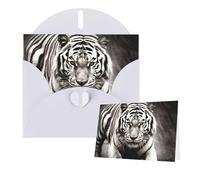 Greetings Card 6" Ã- 4" Black and White Tigers Blank Cards for All Occasions Thank You Cards with Envelopes Assorted Birthday Card Thinking of you cards for Wedding