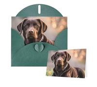 Greetings Card 6" Ã- 4" Brown Labrador Retriever Blank Cards for All Occasions Thank You Cards with Envelopes Assorted Birthday Card Thinking of you cards for Wedding