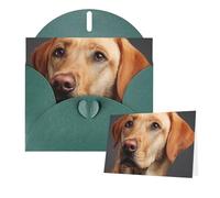 Greetings Card 6" Ã- 4" Labrador Dog Blank Cards for All Occasions Thank You Cards with Envelopes Assorted Birthday Card Thinking of you cards for Wedding