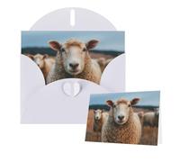 Greetings Card 6" Ã- 4" Sheep Standing Blank Cards for All Occasions Thank You Cards with Envelopes Assorted Birthday Card Thinking of you cards for Wedding
