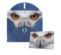 Greetings Card 6" Ã- 4" Snowy Owl Eyes Blank Cards for All Occasions Thank You Cards with Envelopes Assorted Birthday Card Thinking of you cards for Wedding