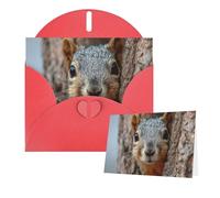 Greetings Card 6" Ã- 4" Squirrel Hiding Behind Tree Blank Cards for All Occasions Thank You Cards with Envelopes Assorted Birthday Card Thinking of you cards for Wedding