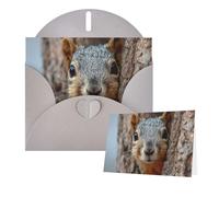 Greetings Card 6" Ã- 4" Squirrel Hiding Behind Tree Blank Cards for All Occasions Thank You Cards with Envelopes Assorted Birthday Card Thinking of you cards for Wedding