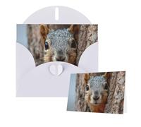 Greetings Card 6" Ã- 4" Squirrel Hiding Behind Tree Blank Cards for All Occasions Thank You Cards with Envelopes Assorted Birthday Card Thinking of you cards for Wedding