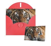 Greetings Card 6" Ã- 4" Tigers Lie On Rock Blank Cards for All Occasions Thank You Cards with Envelopes Assorted Birthday Card Thinking of you cards for Wedding