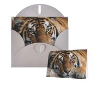 Greetings Card 6" Ã- 4" Tigers Lie On Rock Blank Cards for All Occasions Thank You Cards with Envelopes Assorted Birthday Card Thinking of you cards for Wedding