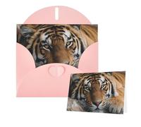 Greetings Card 6" Ã- 4" Tigers Lie On Rock Blank Cards for All Occasions Thank You Cards with Envelopes Assorted Birthday Card Thinking of you cards for Wedding