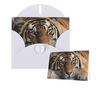 Greetings Card 6" Ã- 4" Tigers Lie On Rock Blank Cards for All Occasions Thank You Cards with Envelopes Assorted Birthday Card Thinking of you cards for Wedding