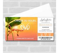 Greetings Card - Cirque Du Soleil Ovo Personalised Gift Voucher Surprise Theatre Ticket | Custom Greetings Card | Surprise Reveal Voucher Spoof Ticket