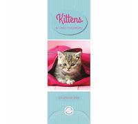 Greg Cuddiford, Kittens Slim Calendar 2026, Wall Calendars, Gift