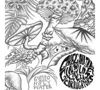 GREG GINN - Greg Ginn and The Taylor Texas Corrugators