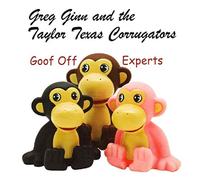 Greg Ginn & Taylor Texas – Goof Off Experts – CD (US Import)