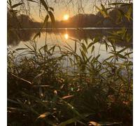 GREG/THORPE,JAMES FOAT - PHOTOSYNTHESIS VINYL LP NEW