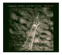 Gregg Bendian, Steuart Liebig, Jeff Gauthier, G.E. Stinson - Bone Structure