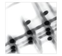 Gregor Samsa - 40:13.5 [Vinyl LP] [VINYL]