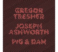 Gregor Tresher / Joseph Ashworth / Pig&Dan - 20 Years: Cocoon Recordings EP2 [VINYL]