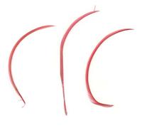 Gregory Crafts & Gifts Pink Biot Feathers x 3 - Coral Pink Millinery hat, fascinator, wedding decoration - long feathers