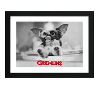 Gremlins Framed Print Gizmo (300) Print With Frame GB EYE