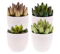 Gresorth 4 Pack Artificial Succulents Plant Decoration in Pots Fake Lotus Landscape Assorted Mini Potted Ornament Cabinet Table Bathroom