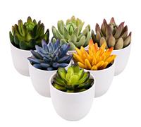 Gresorth Set of 6 Artificial Succulents Plant Decoration in Pots Faux Lotus Landscape Lifelike Assorted Aloe Potted Ornament Wedding Holiday