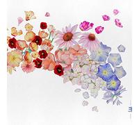 Gretchen Parlato - Flor [VINYL]