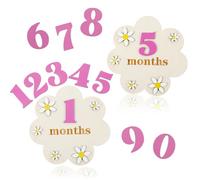 Grevosea 12 Months Baby Monthly Milestone Cards, Daisy Monthly Milestone Signs with 11 Interchangeable Numbers Wooden Baby Milestone Blocks for Baby Growth Recording Photo Props