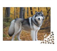 Grey Alaskan Husky 1000 Piece Jigsaw Puzzle Paper for Adults Autumn Forest Scenery Jigsaw Puzzle for Family Home Decor Stress Relief Gift 38x26cm/1000pcs