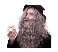 Grey and Long Wizard Wig - Halloween Costume Wig for Men, Merlin Wig for Men, Wigs for Men
