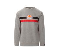 Men's ELLESSE PRELLA Mens Sweatshirt Pullover Crew Neck Warm Winter Jumper Sweat NEW - Grey - Size: Regular/36