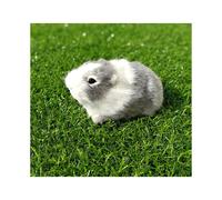 (grey and white) Guinea Pig Plush Toy Pet Soft Cuddly Plushy Cute Animal