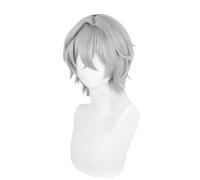 Grey Anime Short Cosplay Wig With Bangs Heat Resistant Full Synthetic Hair Wigs for Women Mens Boys Party Halloween Costume