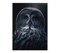Grey Bart Owl Detailed Jigsaw Puzzle for Adults, 500 PCS