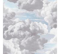 Grey Blue Metropolis Painted Cloud Wallpaper Textured Paste The Wall Vinyl