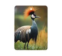 Grey Crowned Crane Car Air Freshener Decorative Hanging Aromatherapy Tablets for Car Trucks Square