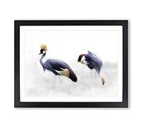 Grey Crowned Cranes Bird Modern Framed Print | A3 Black Framed Wall Art | Ready to Hang | Modern Animal Picture | Living Room Bedroom Lounge Office