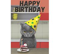Grey Grumpy Cat In A Hat Birthday Greeting Card